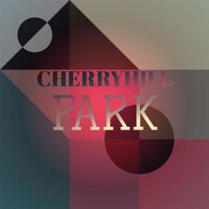 Listen to Midnight In Moscow song with lyrics from Kenny Ball and His Jazz Men