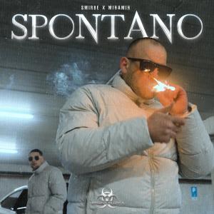 Smirbe的專輯Spontano (feat. MihaMih) (Explicit)