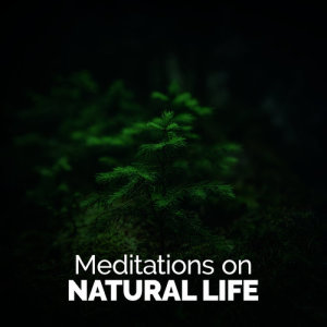 ดาวน์โหลดและฟังเพลง Rhythm of the Water พร้อมเนื้อเพลงจาก Mediation Sounds of Nature