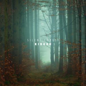 Listen to Someone Like You song with lyrics from Kikoru