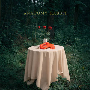 Anatomy Rabbit的專輯Past & Present