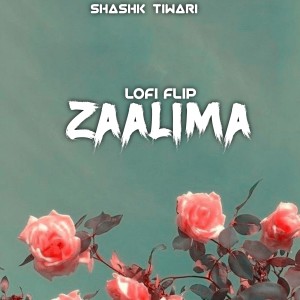 Dengarkan Zaalima (Lofi) lagu dari Shashk Tiwari dengan lirik