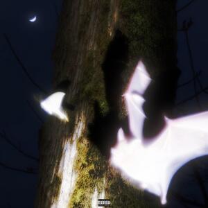 收聽Indigo Paradox的climax (Explicit)歌詞歌曲