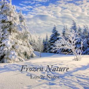 Street Adler的專輯Frozen Nature
