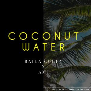 Listen to Coconut Water (Explicit) song with lyrics from Baila Curry