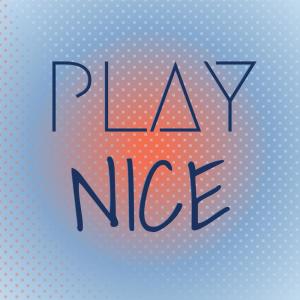 อัลบัม Play Nice ศิลปิน Various Artists