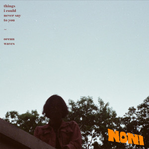 ดาวน์โหลดและฟังเพลง Things I Could Never Say to You พร้อมเนื้อเพลงจาก Noni
