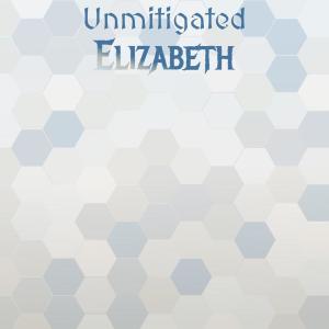 Album Unmitigated Elizabeth oleh Various