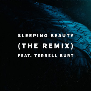 收聽Lucas Rizzo的Sleeping Beauty (The Remix)歌詞歌曲