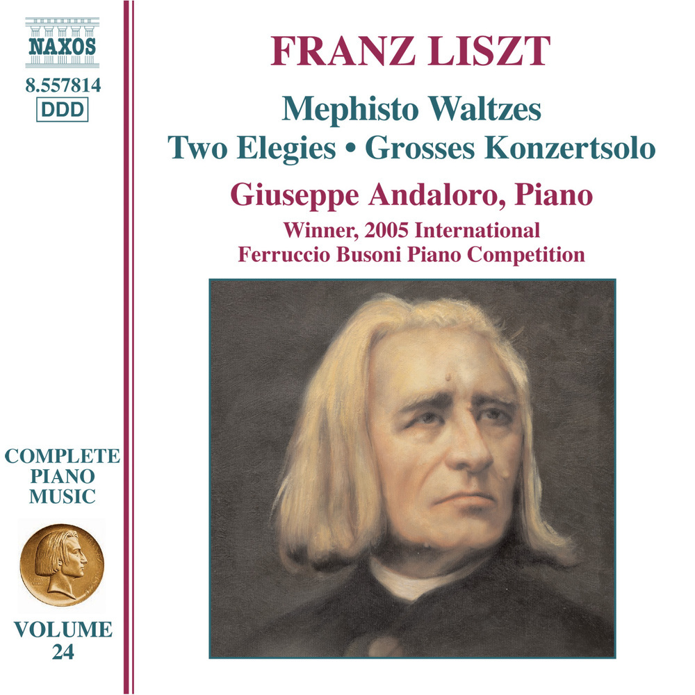 Grosses Konzertsolo, S176/R18 (Grand solo de concert): Grosses Konzertsolo, S176/R18