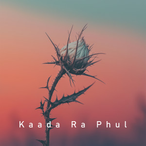 Album Kaada Ra Phul from Anupras