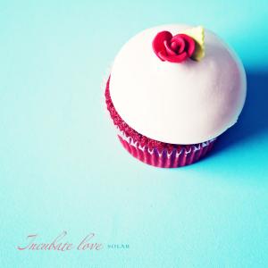 Album Love from 솔라