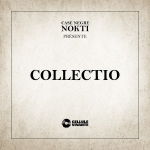 Listen to Chère Terre (Remix) (Explicit) (Remix|Explicit) song with lyrics from NOKTI Case Negre