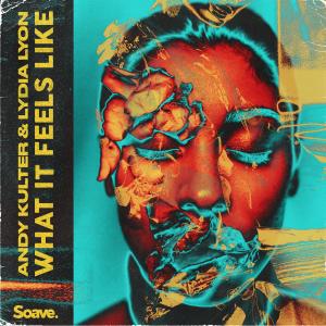 Listen to What It Feels Like song with lyrics from Andy Kulter