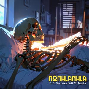 Abangani Bethu的專輯Nonhlanhla (feat. Dj Shakzeen SA & Mr Maphu)