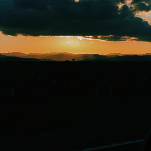Listen to Once You're Gone, You Stay Gone song with lyrics from Dance Till Dead