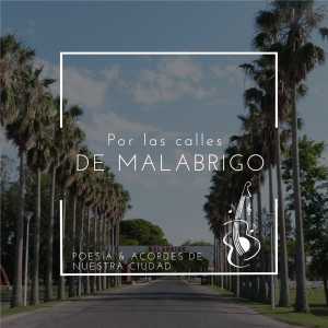 Listen to Casi una Niña song with lyrics from Malabrigo