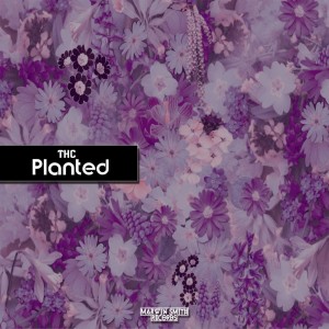 Album Planted from THC