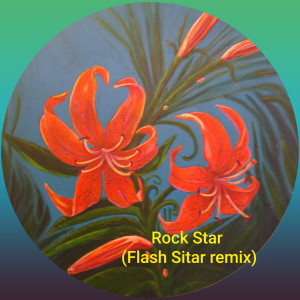 ดาวน์โหลดและฟังเพลง Rock Star (Remix) พร้อมเนื้อเพลงจาก Flash Sitar
