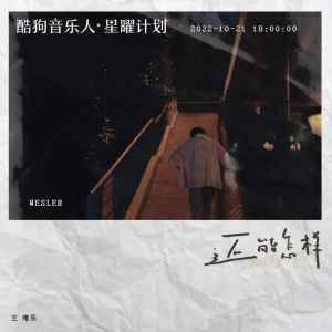 Listen to 还能怎样 song with lyrics from Wesler Wang