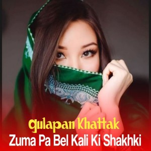 收听Gulapan Khattak的Spena Jora Wachwi Horuna Lagawi歌词歌曲