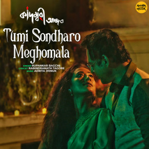 Listen to Tumi Sondharo Meghomala (From "Kadambari Aajo") song with lyrics from Rupankar Bagchi
