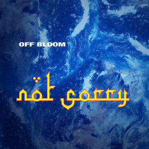 ดาวน์โหลดและฟังเพลง Not Sorry (Explicit) พร้อมเนื้อเพลงจาก Off Bloom