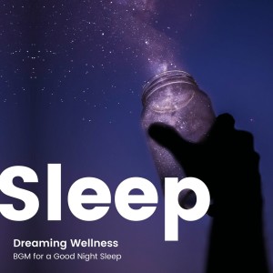 The Sleep -Dreaming Wellness- BGM for a Good Night Sleep dari Various Artists