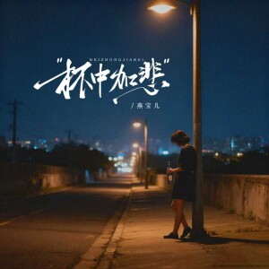 燕宝儿的专辑杯中加悲（DJEva版）