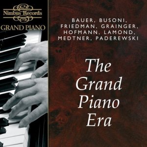 ดาวน์โหลดและฟังเพลง Suite for Solo Violin in D Minor, BWV 1004: V. "Chaconne" พร้อมเนื้อเพลงจาก Ferruccio Busoni