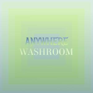 Various Artists的專輯Anywhere Washroom