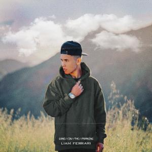 ดาวน์โหลดและฟังเพลง Gone in the Morning พร้อมเนื้อเพลงจาก Liam Ferrari