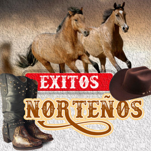 Album Exitos Norteños from Sergio Lucero