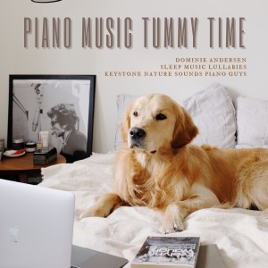 Keystone Nature Sounds Piano Guys的專輯Piano Music Tummy Time
