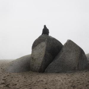Listen to Song to the Siren song with lyrics from A Constant Storm