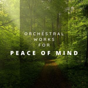 Listen to Symphony No. 40 song with lyrics from Slovak Philharmonic Orchestra