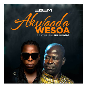 Album Akwaada Wesoa (Explicit) from 