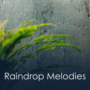 Raindrops Sleep的专辑Raindrop Melodies