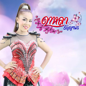 ดาวน์โหลดและฟังเพลง เมี่ยเต้ยบ่แม่นควาย พร้อมเนื้อเพลงจาก ดาหลา ธัญญาพร