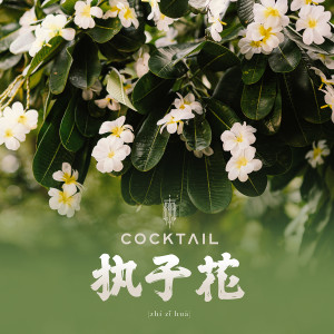 อัลบัม 执子花 (zhí zǐ huā) (Original Soundtrack 'I Feel You Linger in the Air’) - Single ศิลปิน Cocktail