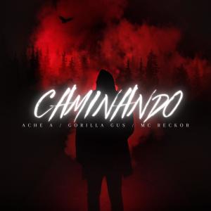 收聽Mc reckor的CAMINANDO (feat. RILLA G & ACHE A) (Explicit)歌詞歌曲