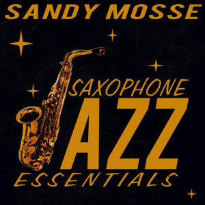 ดาวน์โหลดและฟังเพลง How Long Has This Been Going On พร้อมเนื้อเพลงจาก Sandy Mosse