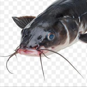 อัลบัม Spits in face/leaves (Explicit) ศิลปิน 2shanez