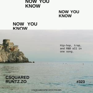 Csquared的專輯Now You Know (feat. Runtz.Zo) (Explicit)