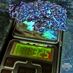 收聽FinekUno的Ivan y Juan (Explicit)歌詞歌曲