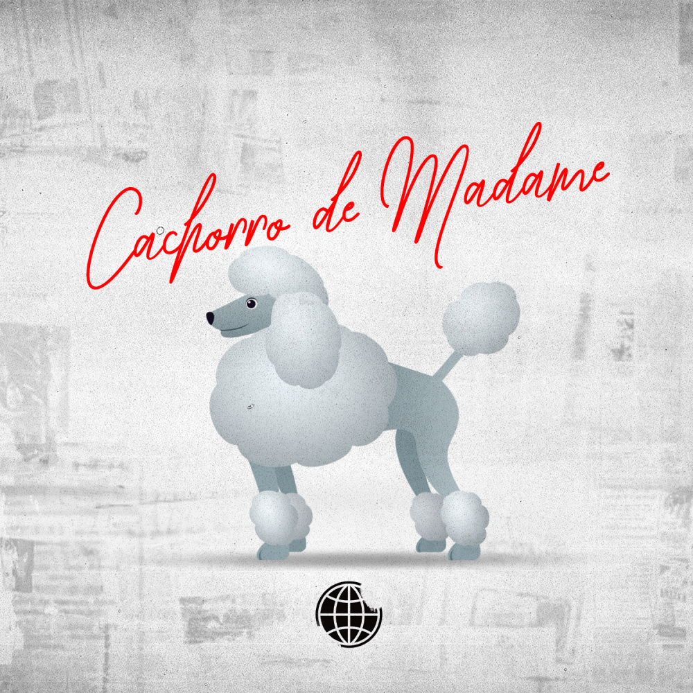 Cachorro de Madame (Explicit)