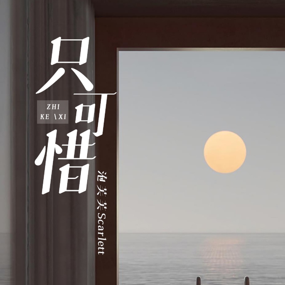 只可惜 (伴奏)