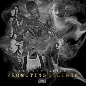 Listen to Idgaf (Explicit) song with lyrics from Donkey Cartel