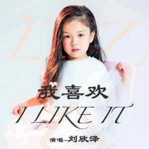 收聽劉欣澤的我喜歡 (伴奏)歌詞歌曲