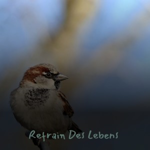 Listen to Do Re Mi song with lyrics from Ramblin' Jack Elliott